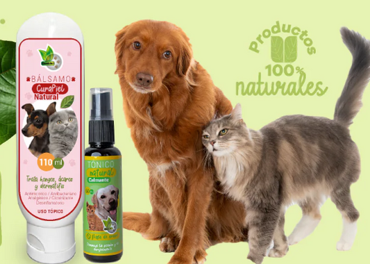 Shampoo natural para tus mascotas 🐱🐶