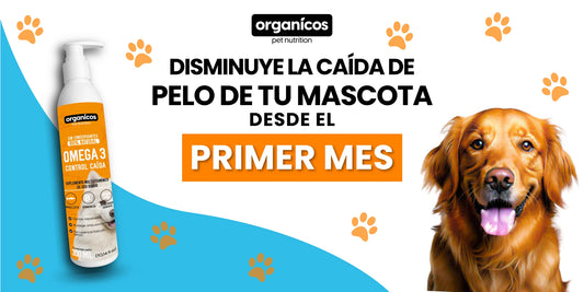 Omega 3 anticaída de pelo para perro